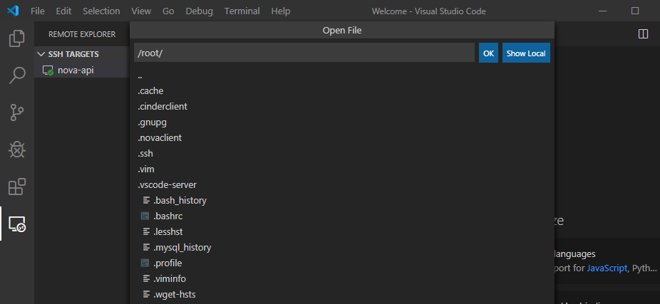 Remote%20Debugging%20Nova%201/Visual_Code_Remote_SSH_08.png